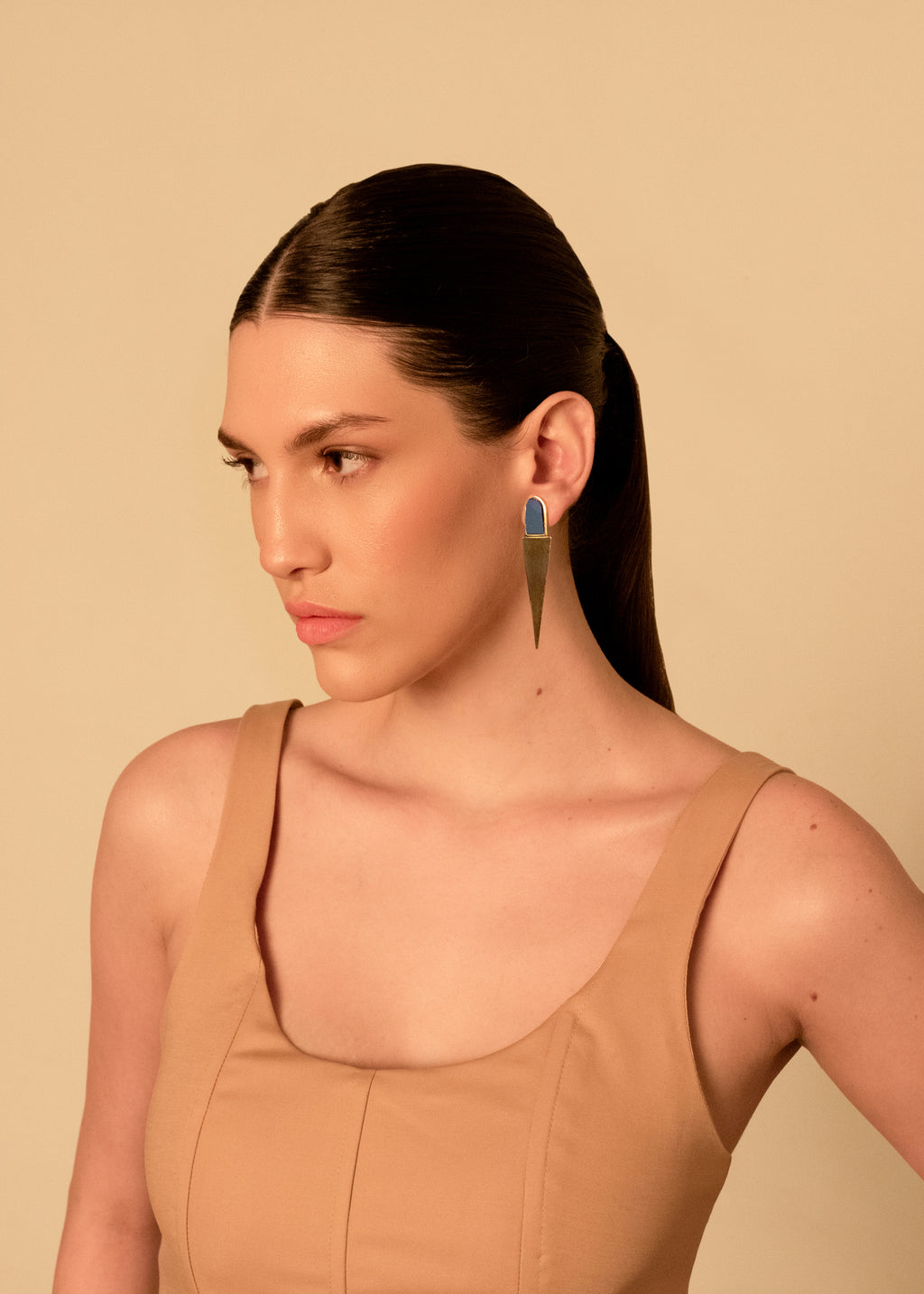 Brinco Anita